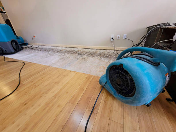 Professional Water Damage Repair technician working in Monroe, ME